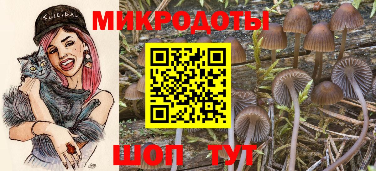 Псилоцибиновые грибы Psilocybine cubensis Ирбит